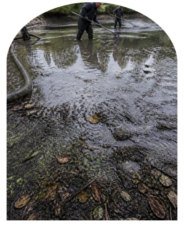 Очистка пруда в Баксане от ила мусора и водорослей с вывозом